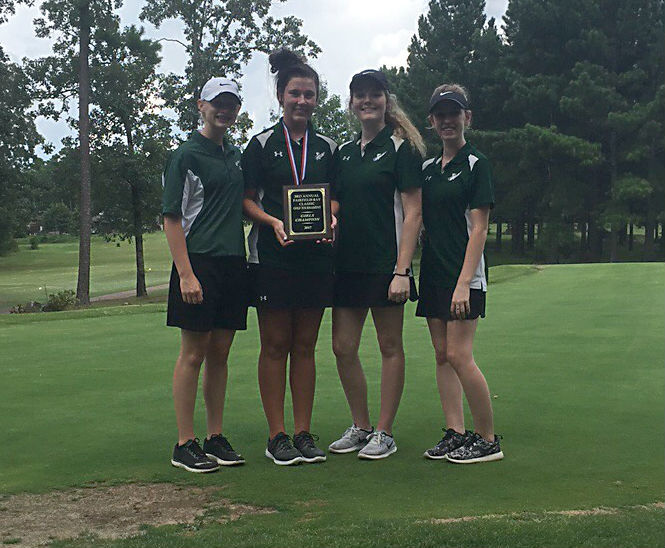 Golf Tournament Champions